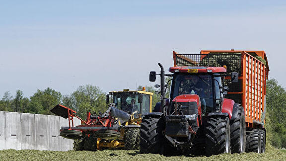 Eerste snee gras inkuilen